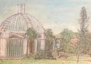 Ge Jardin Botanique, technique mixte sur papier kraft, cm. 21x29,5, 2023 copia copie